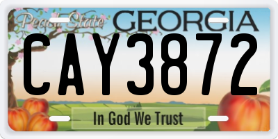 GA license plate CAY3872