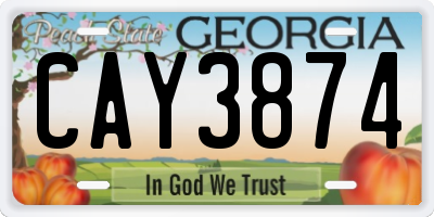 GA license plate CAY3874