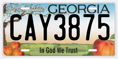 GA license plate CAY3875
