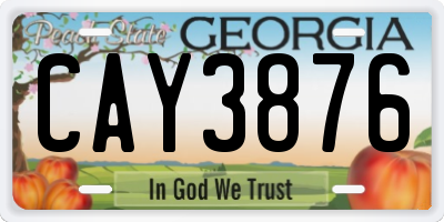 GA license plate CAY3876