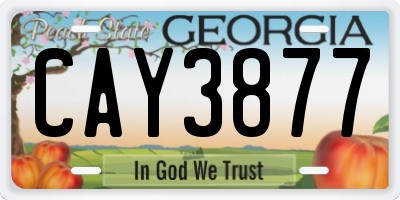 GA license plate CAY3877