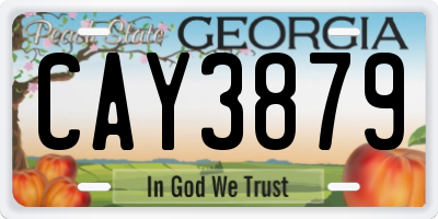 GA license plate CAY3879