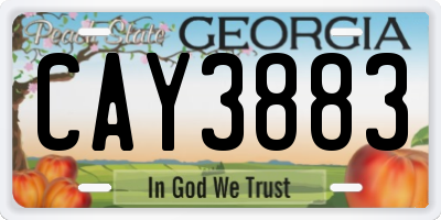 GA license plate CAY3883