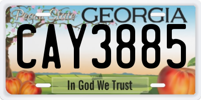 GA license plate CAY3885