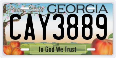 GA license plate CAY3889