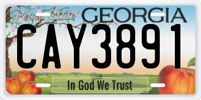 GA license plate CAY3891
