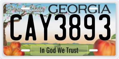 GA license plate CAY3893