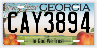 GA license plate CAY3894