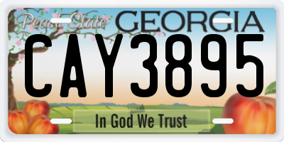 GA license plate CAY3895