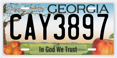 GA license plate CAY3897