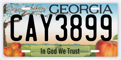 GA license plate CAY3899