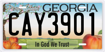 GA license plate CAY3901