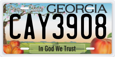 GA license plate CAY3908