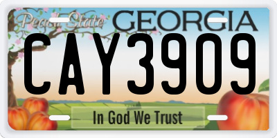GA license plate CAY3909
