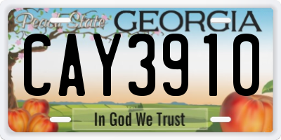 GA license plate CAY3910