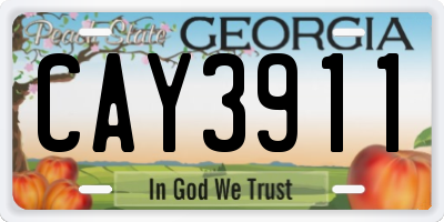 GA license plate CAY3911