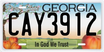 GA license plate CAY3912