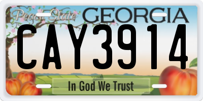 GA license plate CAY3914