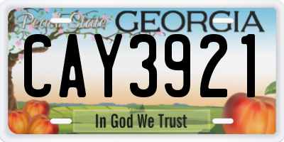 GA license plate CAY3921