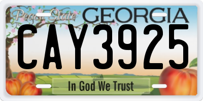 GA license plate CAY3925