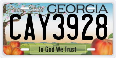 GA license plate CAY3928