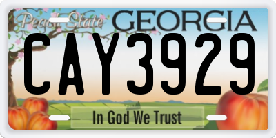 GA license plate CAY3929