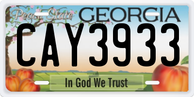 GA license plate CAY3933