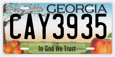 GA license plate CAY3935