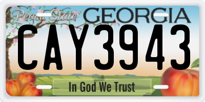 GA license plate CAY3943