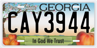 GA license plate CAY3944
