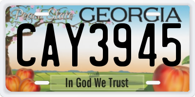 GA license plate CAY3945
