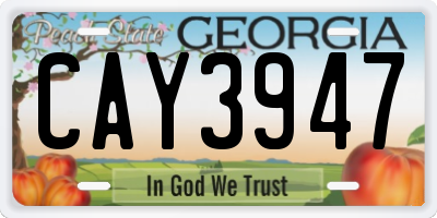 GA license plate CAY3947