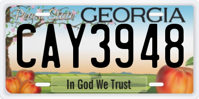 GA license plate CAY3948