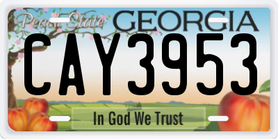 GA license plate CAY3953