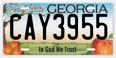 GA license plate CAY3955