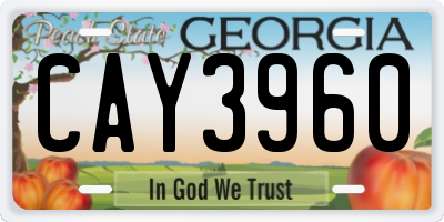 GA license plate CAY3960