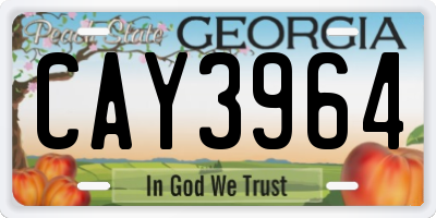 GA license plate CAY3964