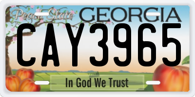 GA license plate CAY3965