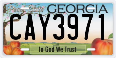 GA license plate CAY3971