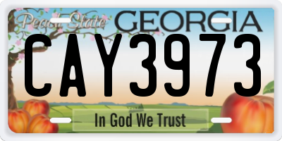 GA license plate CAY3973