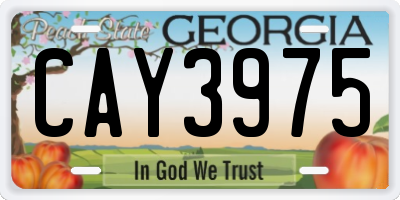 GA license plate CAY3975