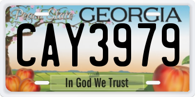 GA license plate CAY3979