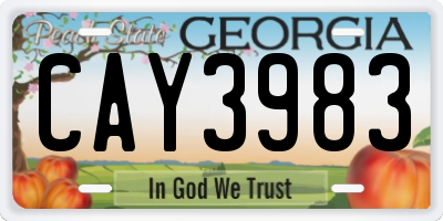 GA license plate CAY3983