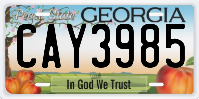 GA license plate CAY3985