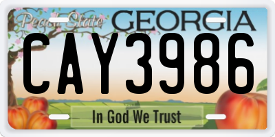 GA license plate CAY3986