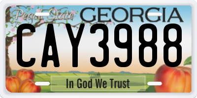 GA license plate CAY3988
