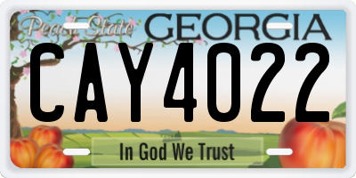GA license plate CAY4022