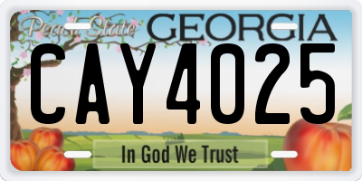 GA license plate CAY4025