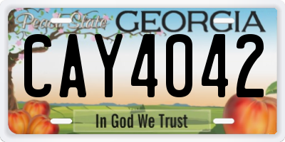GA license plate CAY4042