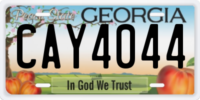 GA license plate CAY4044